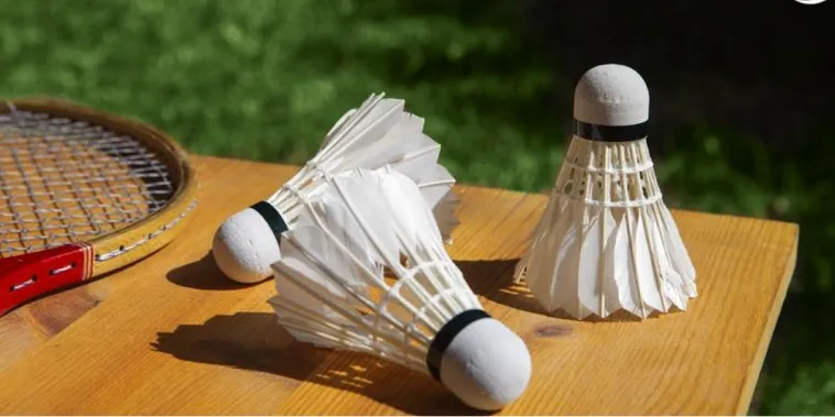 Bí Kíp Vàng Về Cách Chơi Cá Cược Cầu Lông Tại SBOBET