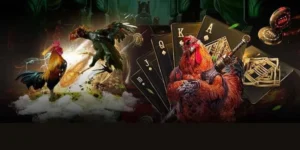 Hướng Dẫn Cách Chơi Đá Gà GA28 Tại SBOBET Từ A Đến Z